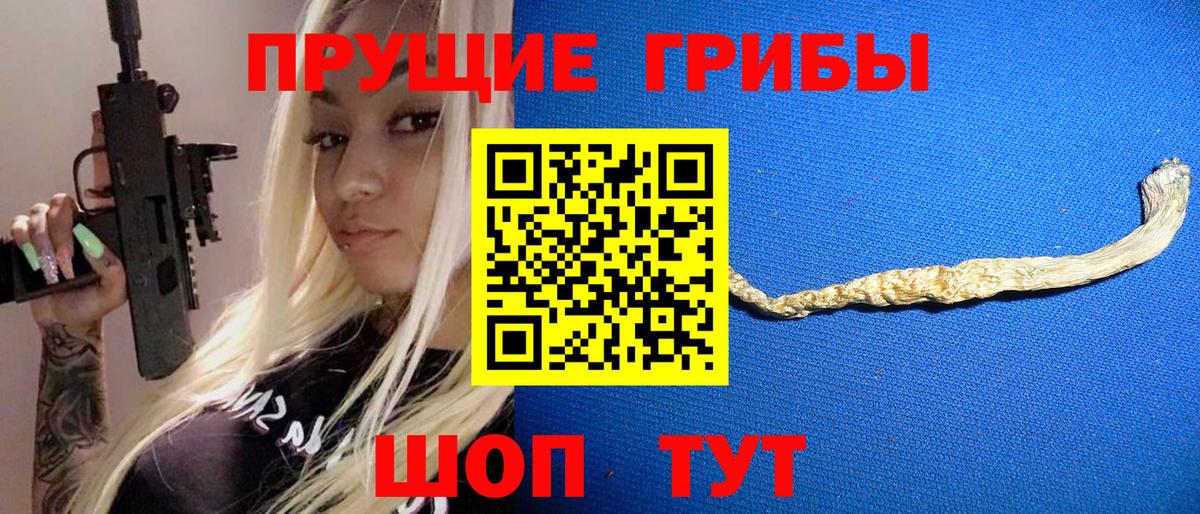 Галлюциногенные грибы Psilocybine cubensis  Вход с VPN  наркота  Славгород 